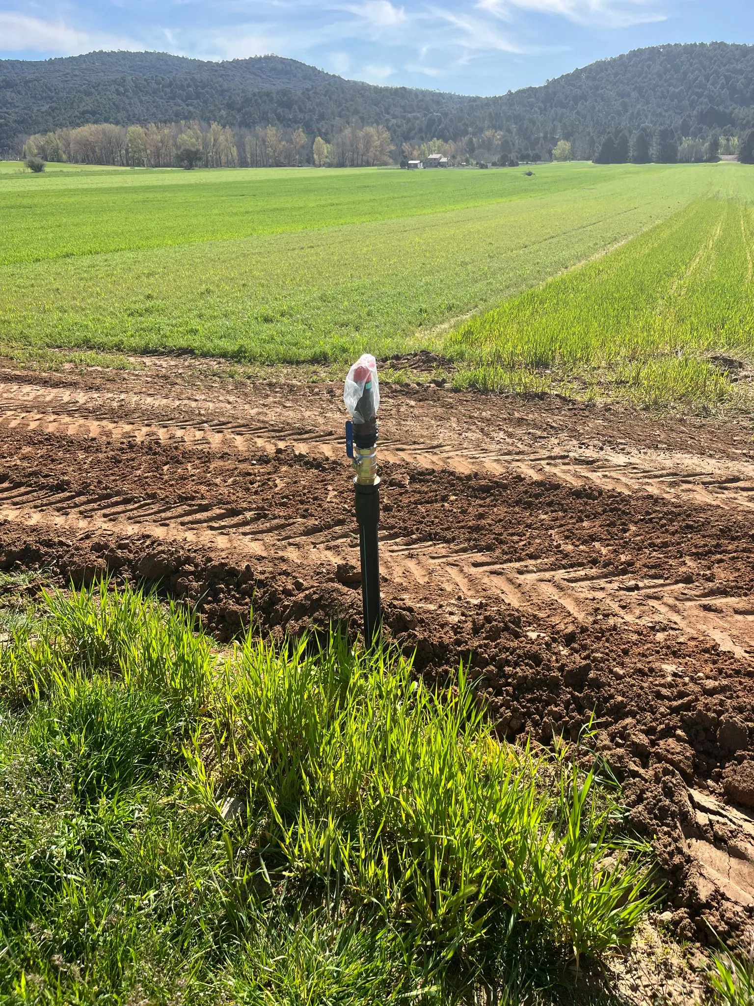 Tubería instalada en zanja durante la ejecución